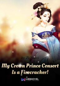My Crown Prince Consort Is a Firecracker